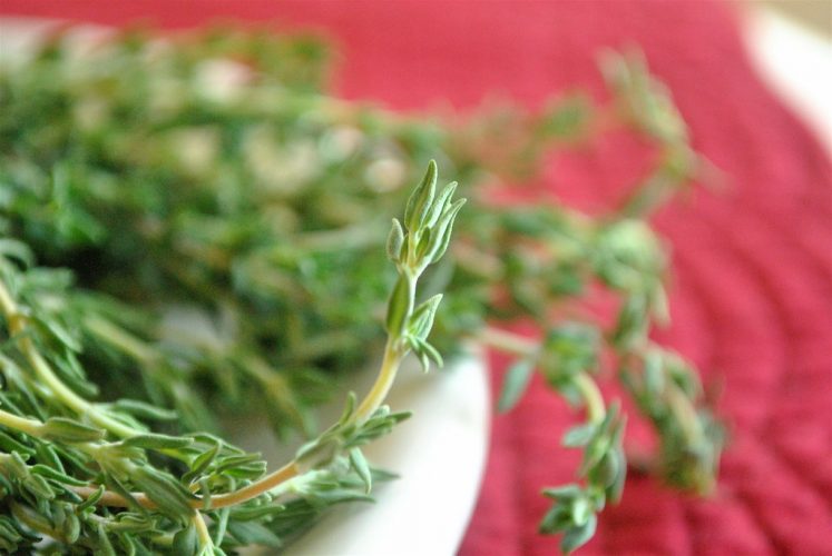 What're the Five Benefits of Fresh Thyme?