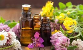 What are Aromatherapy and Essential Oils?
