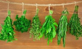 Best 10 Herbs for Optimal Health and Healing