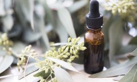 Best Benefits and Uses of Eucalyptus Essential Oil