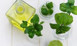 The Best Benefits of Bio Peppermint Essential oil