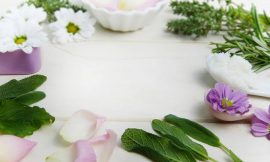 Phytotherapy: Best Complementary Drugs for Your Health