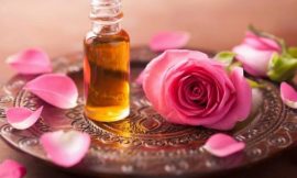 The Difference Between Damask Rose and May Rose Essential Oil