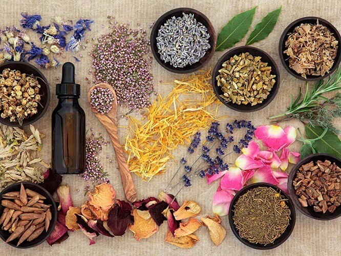 The Proper Ways of Using Herbal Remedies