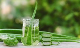Best Uses and Benefits Of Aloe Vera Plant