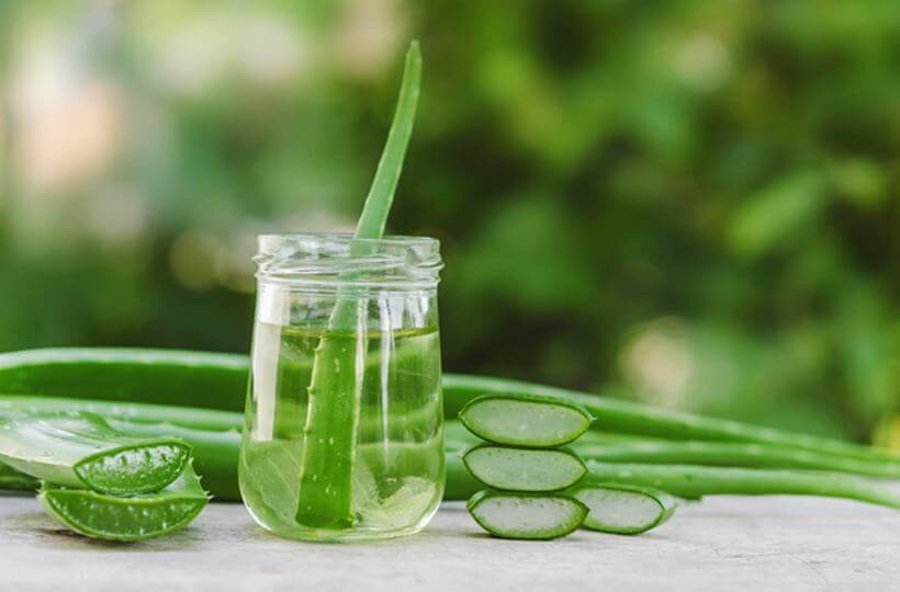 All About Aloe vera Benefits