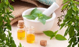 Aromatherapy all Thing you Should be Know