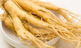 Ginseng The Most Famous Herbal for Your Healthy Lifestyle