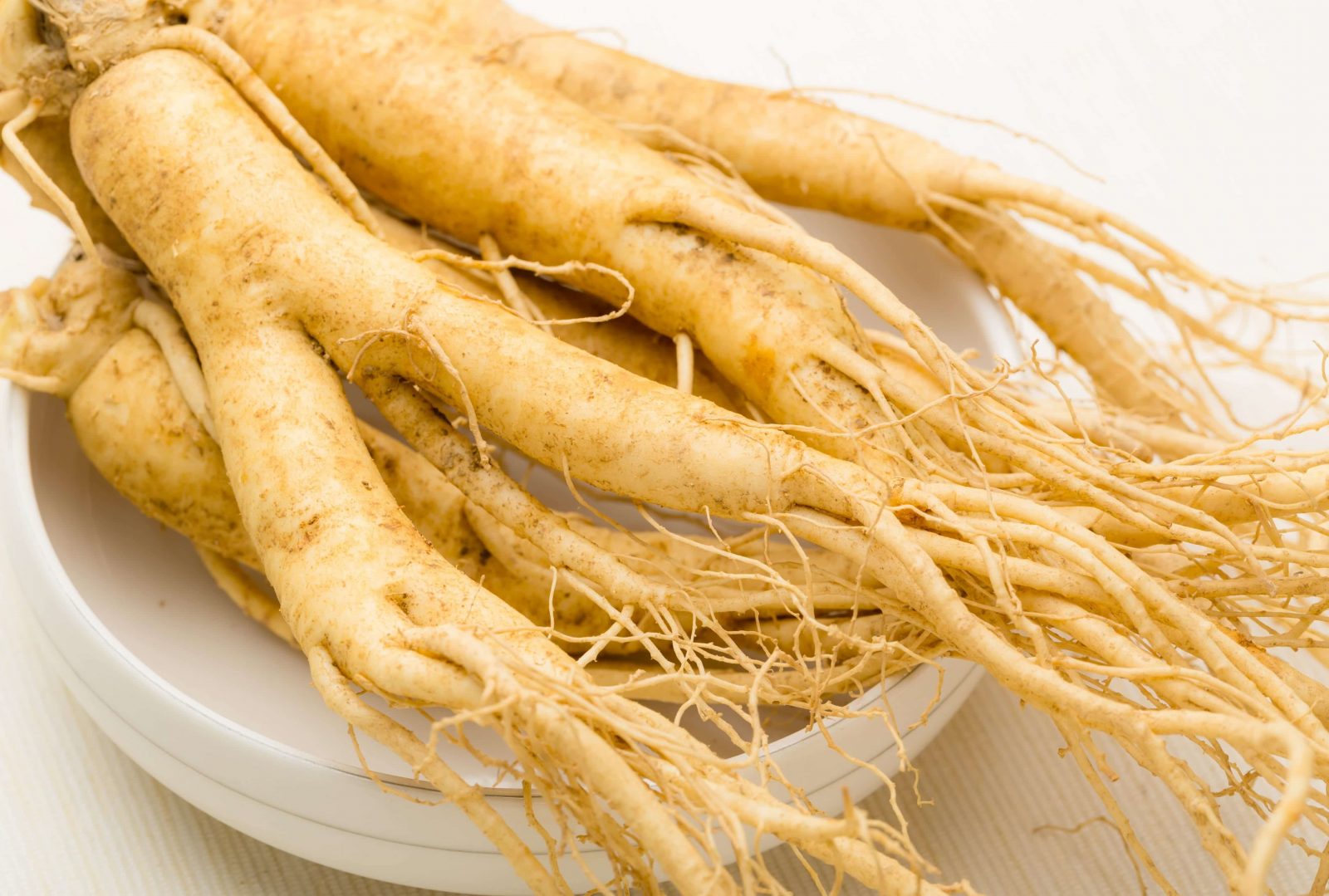 Ginseng The Most Famous Herbal