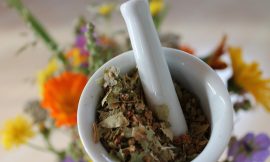 How to Make The Best Herbal Plants and Extracts