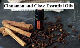 Best Benefits of Cinnamon and Clove Oils For Health