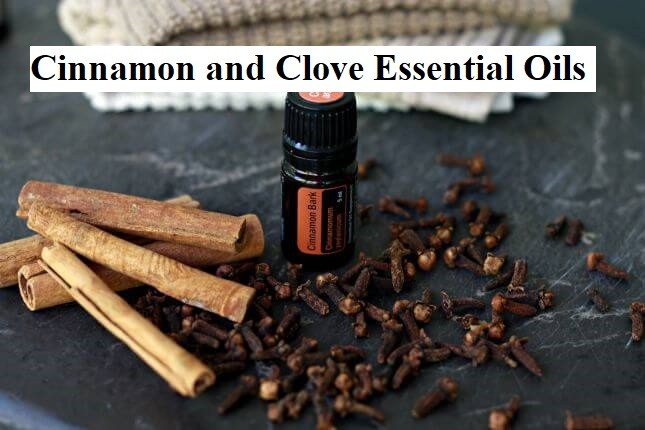 Cinnamon and Clove Essential Oils