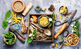The History of Herbal Medicine
