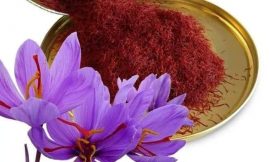 Best 11 Benefits of Saffron – Red Gold