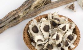 Top 20 Benefits of Moringa Seeds for Health, Skincare, and Hair