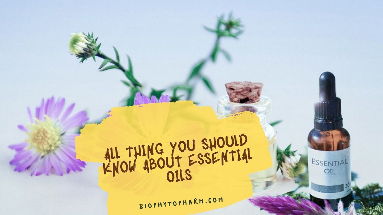 All Thing you Should Know About Essential Oils