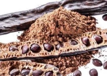Most Important Benefits of the Carob