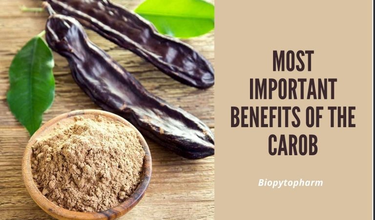 Most Important Benefits of the Carob