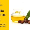 Jojoba Essential Oil – Basic Oils Aromatherapy
