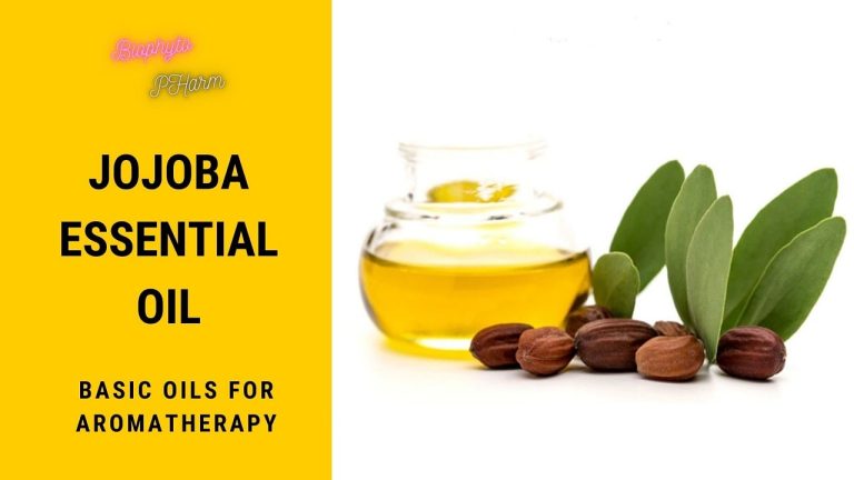 Jojoba Essential Oil Basic Oils for Aromatherapy
