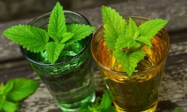 Best Natural Remedy With the Medicinal Lemon Balm Plant
