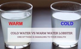 What is The Best? Drinking Cold Water vs Warm Water Lobster