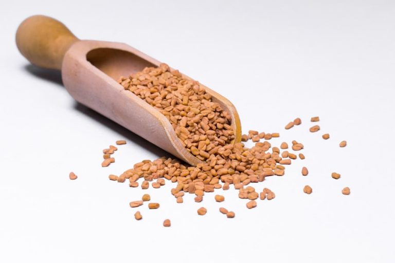 FENUGREEK SEED – INCREASE BREAST SIZE NATURALLY!
