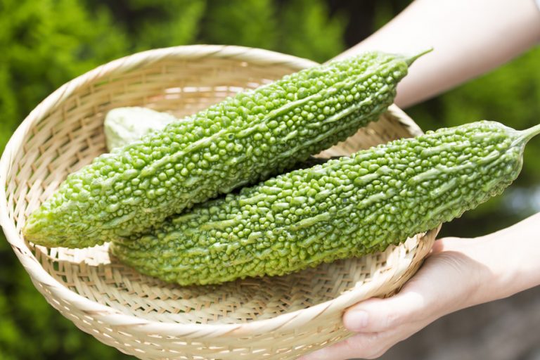 THE 7 SWEET HEALTH BENEFITS OF BITTER MELON