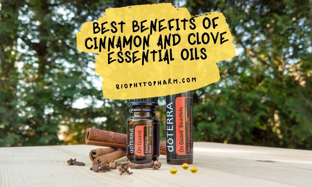 Best Benefits of Cinnamon and Clove Essential Oils