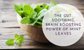 The Best Gut-Soothing, Brain-Boosting Benefits of Mint Leaves