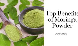 Top Benefits of Moringa Powder