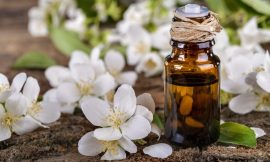 Best Benefits and Uses Of Jasmine Essential Oil