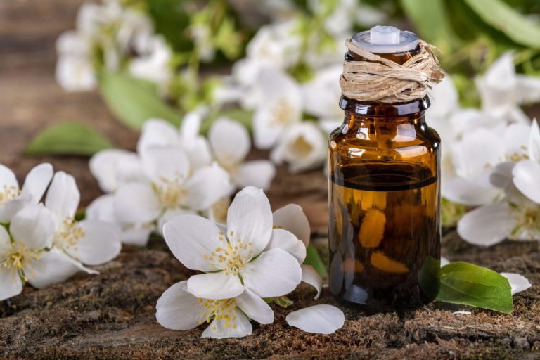 Best Jasmine Essential Oil Benefits and Uses