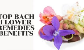 Best Bach Flower Remedies Benefits