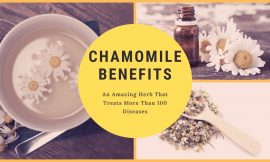 Chamomile Benefits- An Amazing Herb That Treats More Than 100 Diseases