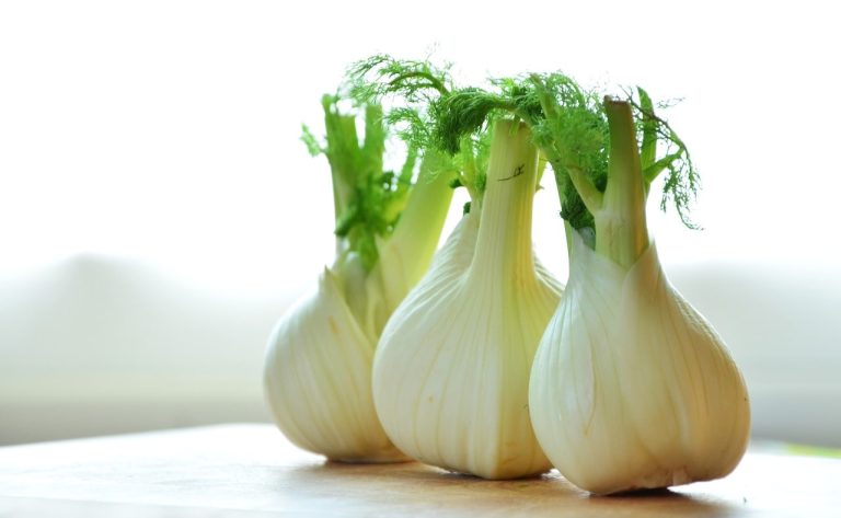 FENNEL ROOT – 3 REASONS WHY YOU SHOULD EAT IT!
