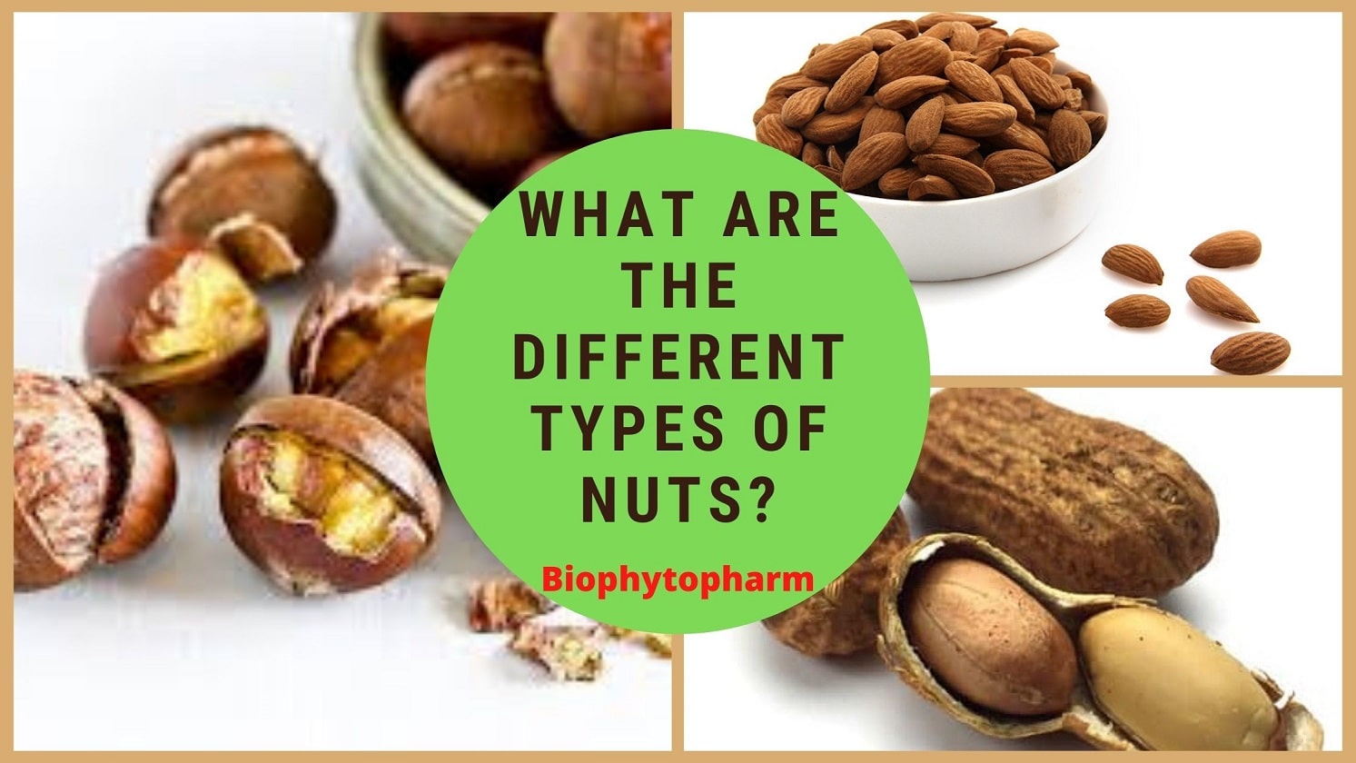 What Are The Different Types of Nuts