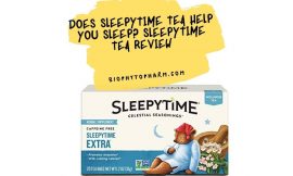 Does Sleepytime Tea Help you Sleep? Sleepytime Tea Review