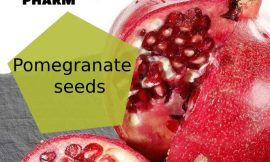 Best Benefits of Swallow Pomegranate Seeds for health and Skin