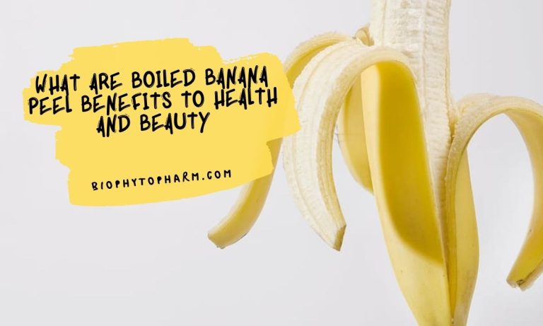 What Are Boiled Banana Peel Benefits to Health and Beauty