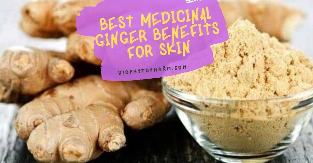 Best Medicinal Ginger Benefits For Skin
