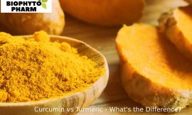 Curcumin vs Turmeric – What’s the Difference?