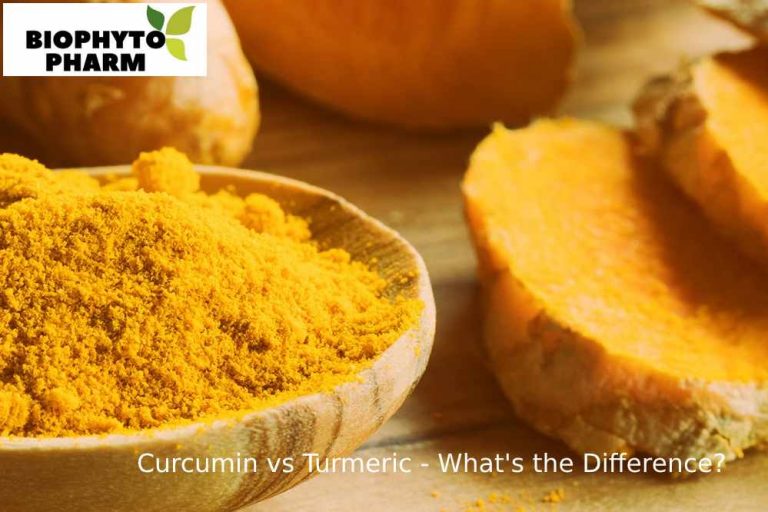 Curcumin vs Turmeric - What's the Difference