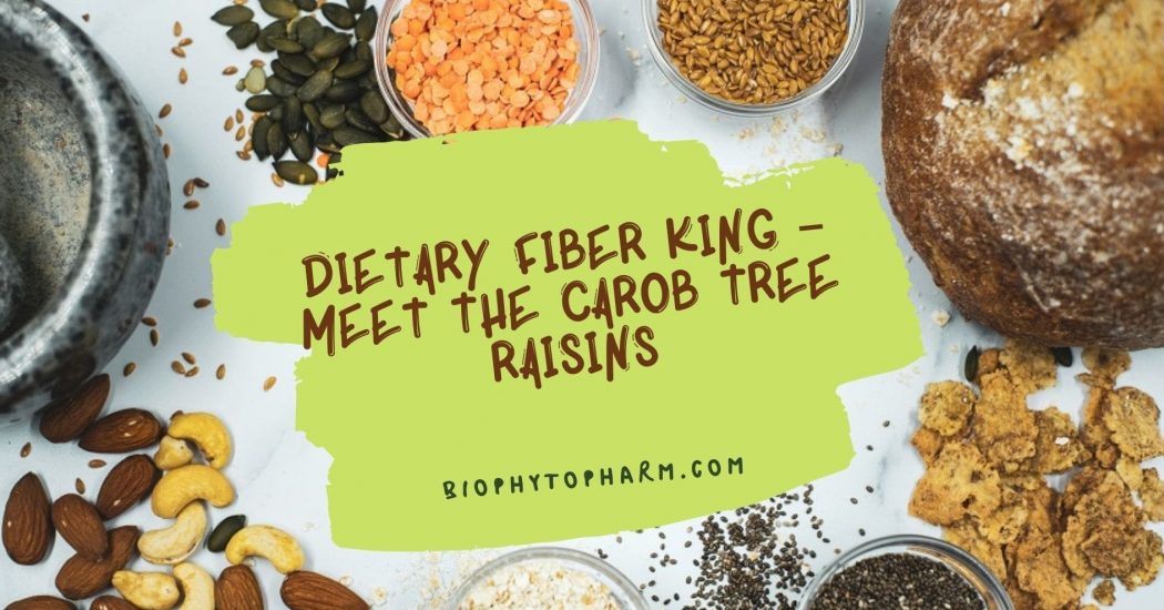 BEST DIETARY FIBER KING – MEET THE CAROB TREE RAISINS