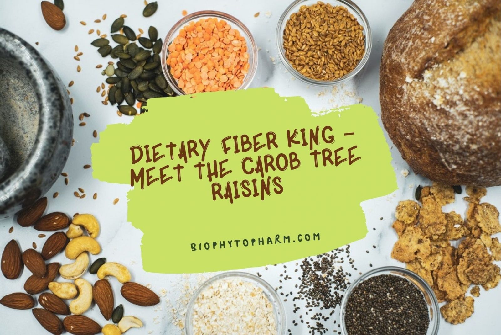 DIETARY FIBER KING – MEET THE CAROB TREE RAISINS
