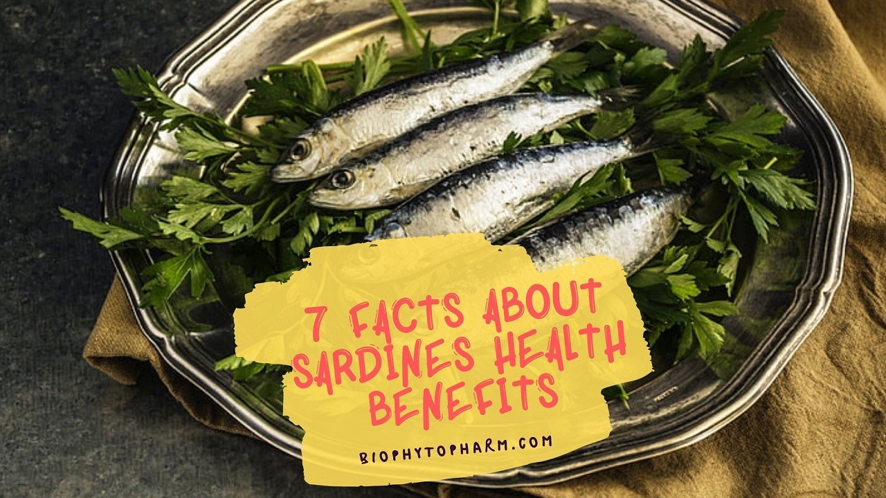 7 Facts About Sardines Health Benefits
