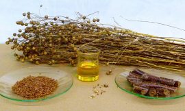 BEST FLAXSEED OIL FOR HEALTH