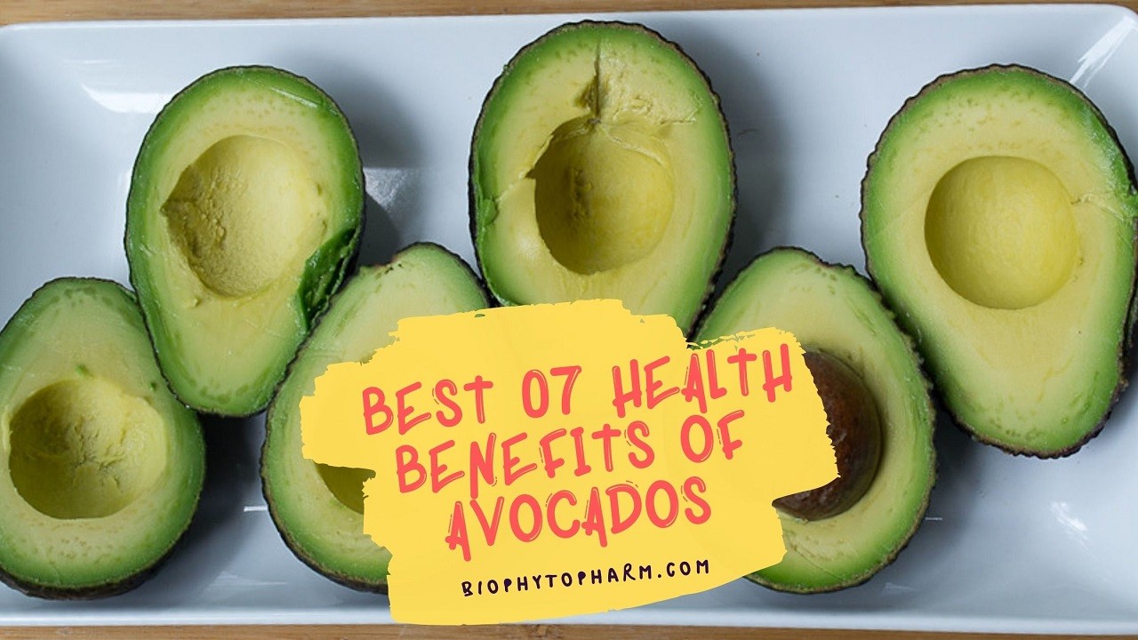 Best 07 Health Benefits of Avocados