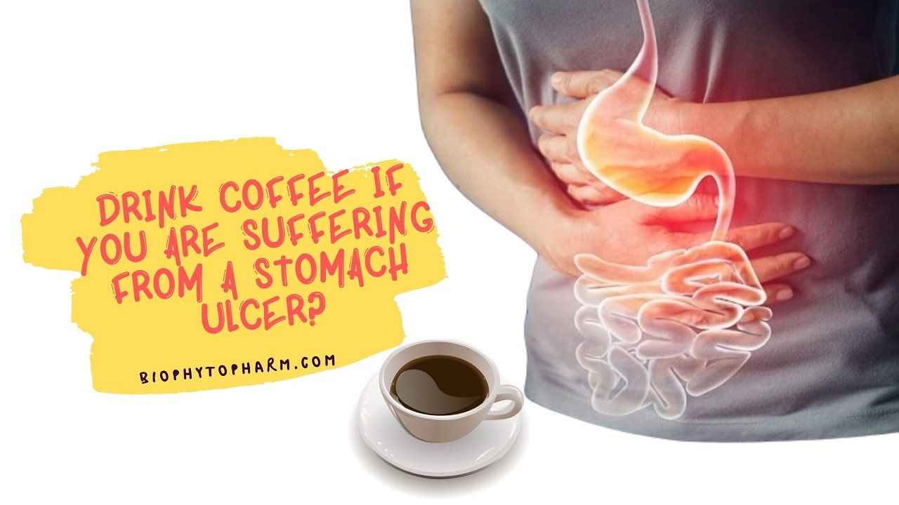 DRINK COFFEE IF YOU ARE SUFFERING FROM A STOMACH ULCER? | Biophytopharm