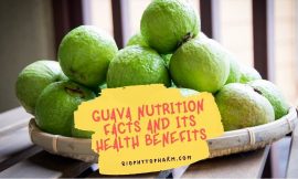 Guava Nutrition Facts And Its Health Benefits